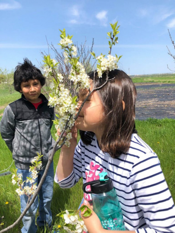 Intertribal Research & Resource Center - Outreach - TJES Garden Program